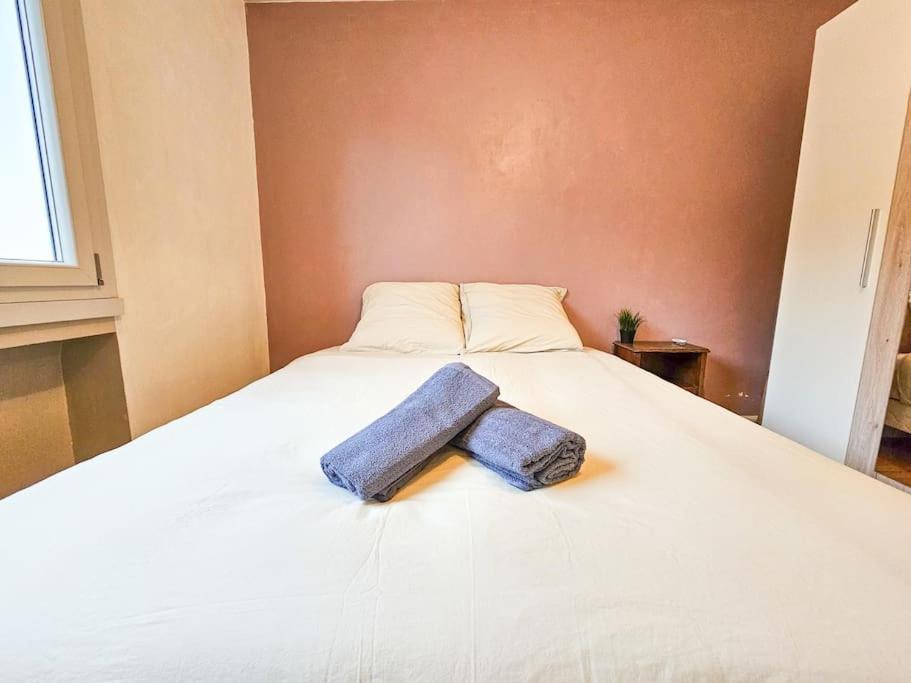 Le Bergson 3 Chambres Stationnement Gratuit Saint-Etienne  Exterior photo